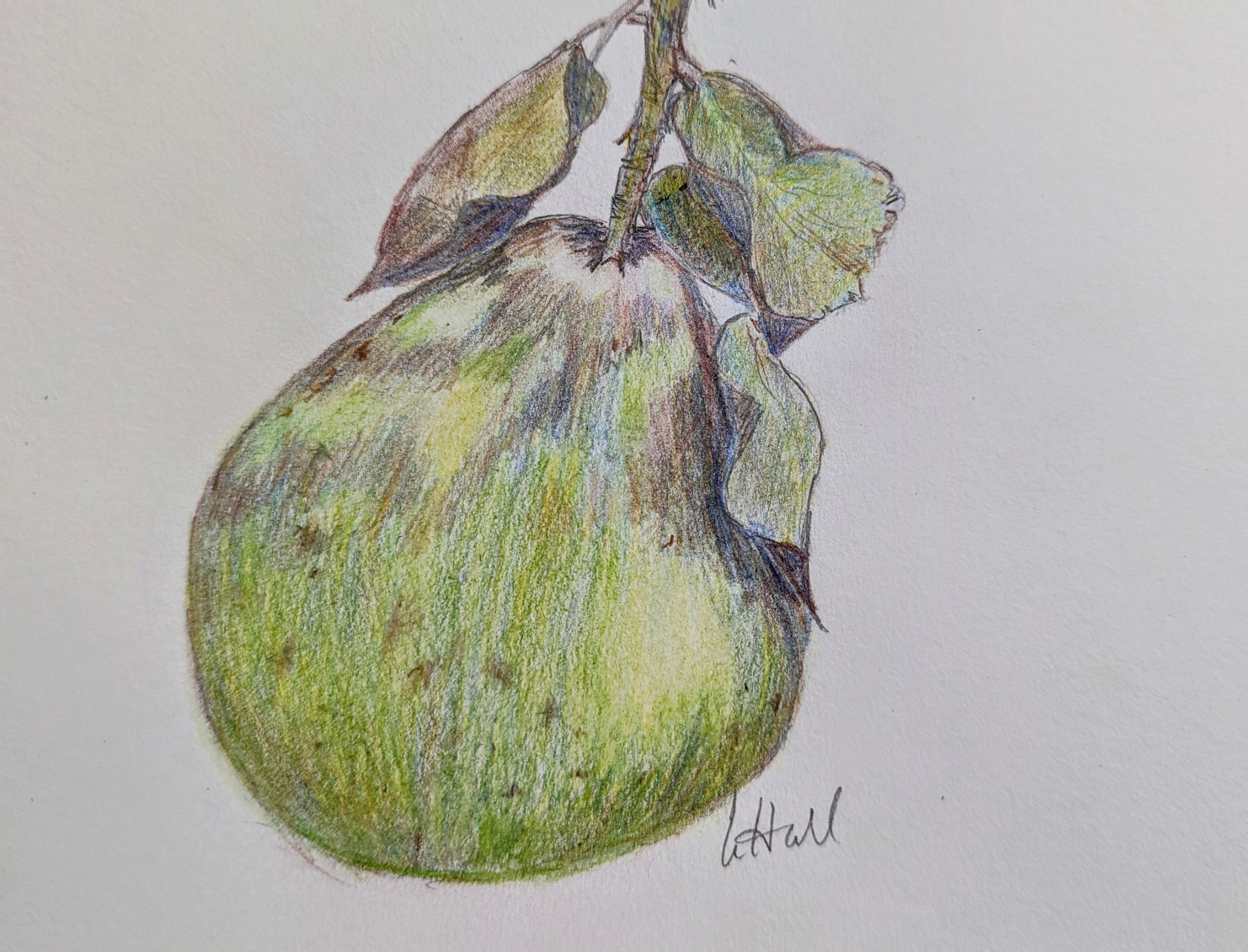 Autumnal Watercolour Wells Tourism